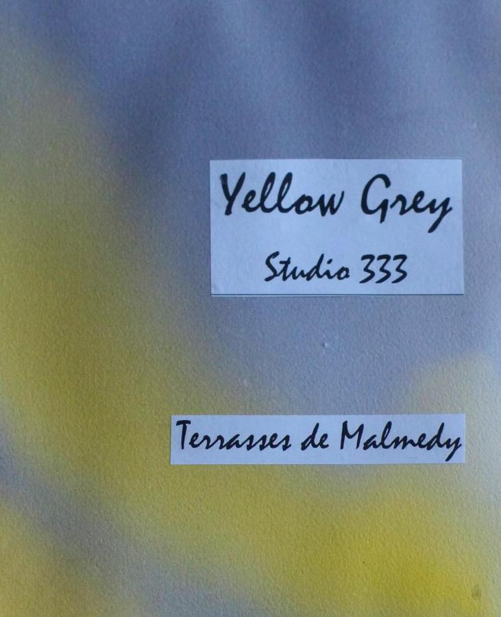 Les Terrasses De Malmedy Studio 333 Yellow Grey Buitenkant foto